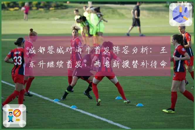 成都蓉城对海牛首发阵容分析：王东升继续首发，两名新援替补待命